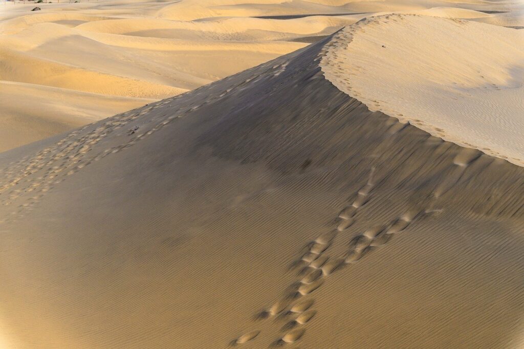 dune 9933020 1280